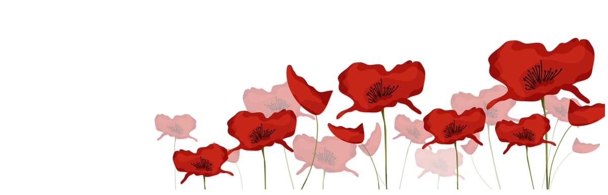 Responsive of the week – WWI Remembrance Day